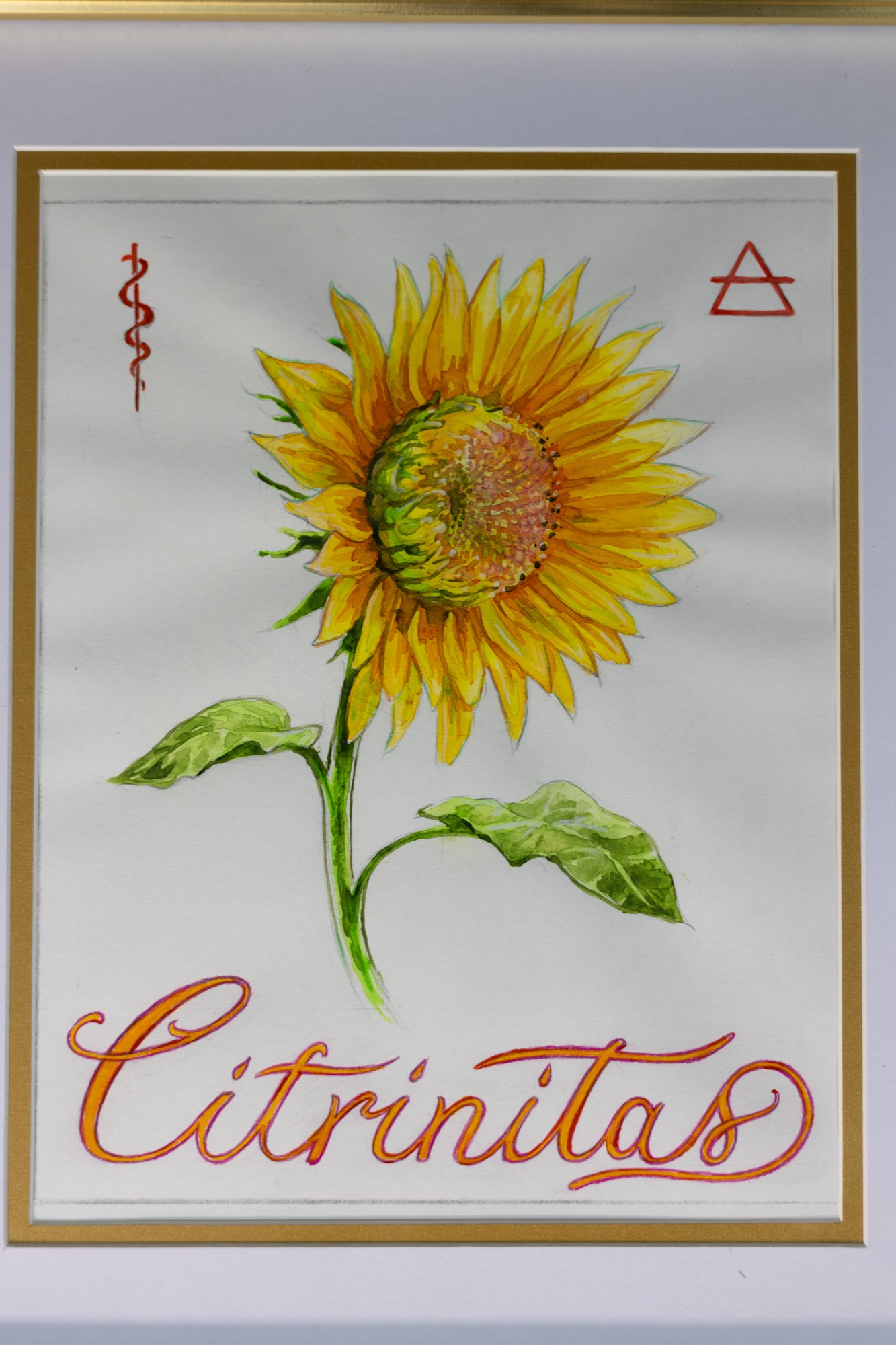 Alchemical Quadriptych — the Citrinitas panel shown complete