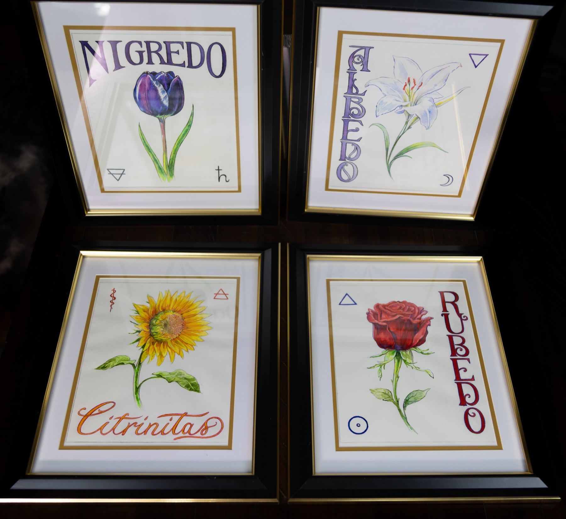 Alchemical Quadriptych — the complete set of four panels: Nigredo, Albedo, Citrinitas, Rubedo
